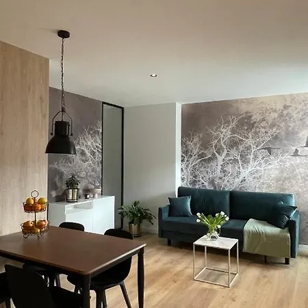 ホテル Apartament Barlickiego